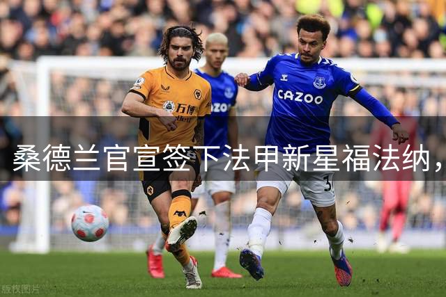 桑德兰官宣签下法甲新星福法纳，击败水晶宫完成重磅引援